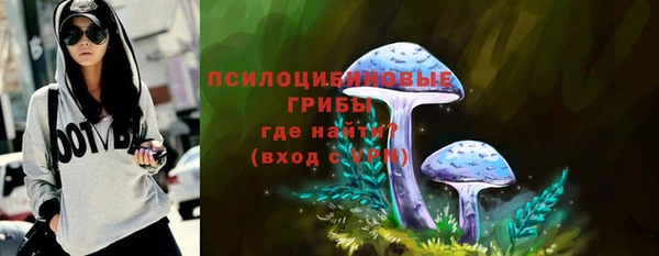 крисы Алексеевка