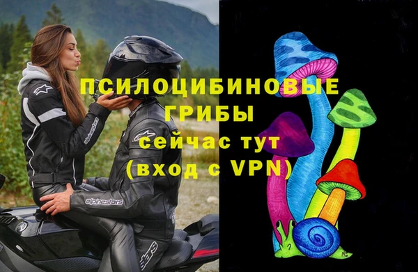 мяу мяу мука Алзамай