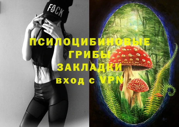 крисы Алексеевка